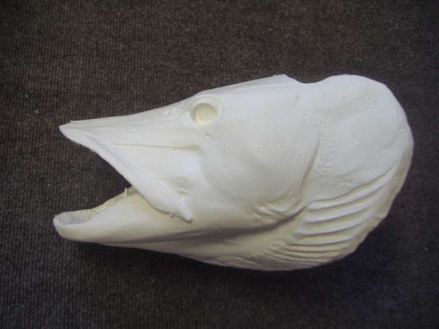 Replacement Head and Fish Forms