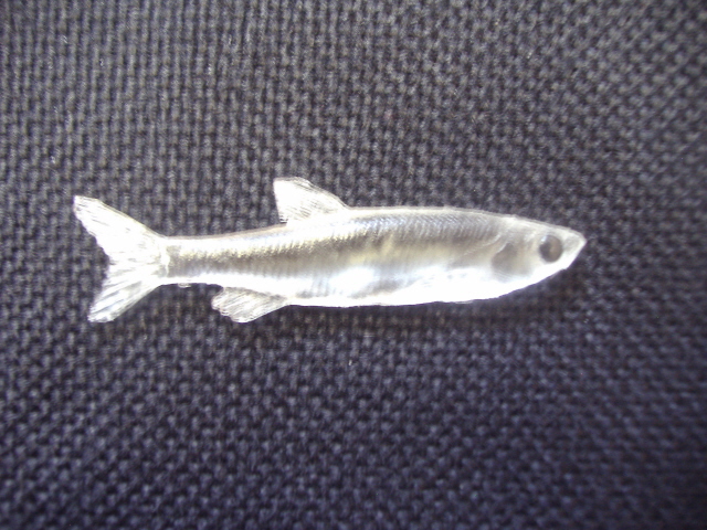 LCR-BESH2.5 Emerald Shiner 2.5"- Unpainted - Click Image to Close