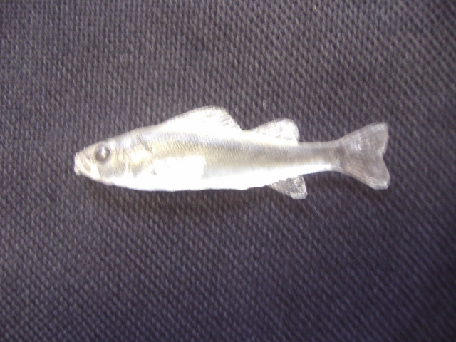 LCR-BPER3.5 Perch 3.5"- Unpainted - Click Image to Close