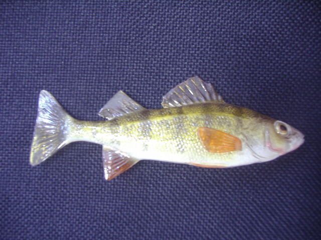 LCR-BPPER3.5 Perch 3.5"- Painted