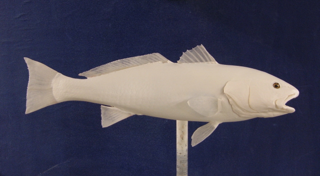 LCR-DRF25.0-1 Red Fish RT L 25 G 13.5 LB 6 Ready to Paint