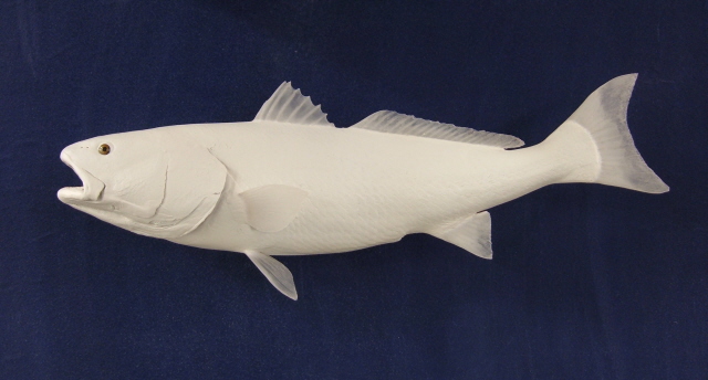LCR-DRF44.0-1 Red Fish LT L 44 G 25 LB 38 Ready to Paint