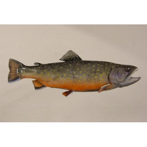 LCR-SKG32.0-1 Chinook Salmon(King) F 32 x 19 14LB-Ready to Paint - Click Image to Close