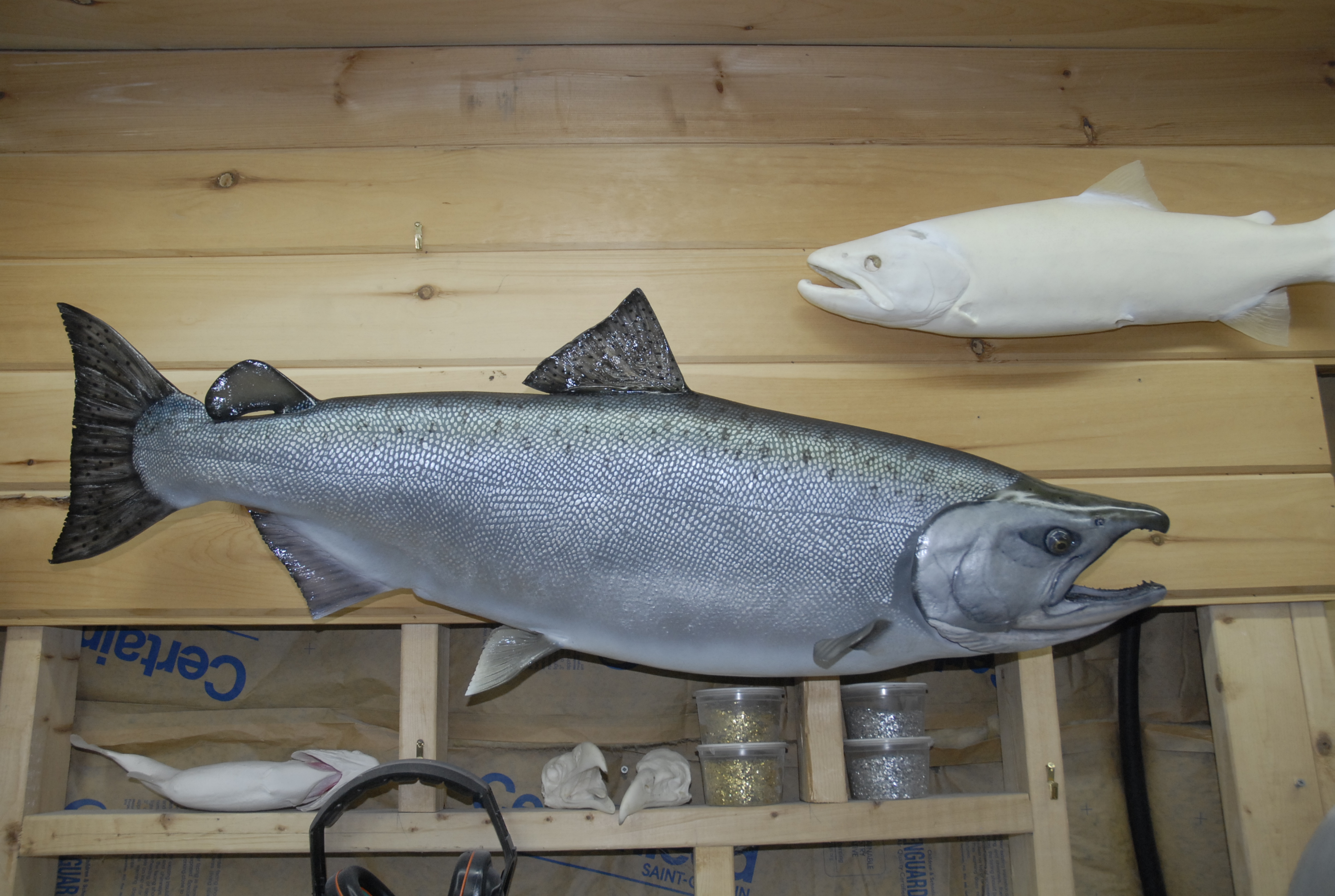LCR-SKG51-0.1 Chinook Salmon(King) 51 x 30 62LB-Ready to Paint