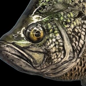 Crappie Head