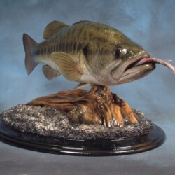 largemouth bass replica blank by Randy Budzynski