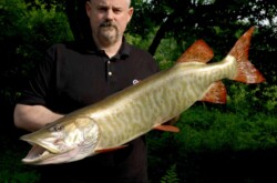 musky mount fish taxidermy training customer