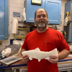 fish taxidermy workshop - anglers artistry