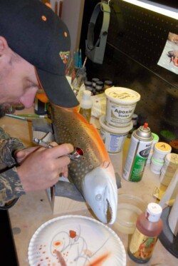 fish taxidermy workshop - anglers artistry